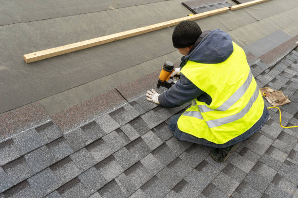 Best Roof Waterproofing Services  in South Zanesville, OH