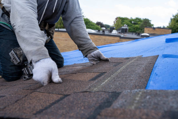 Best Flat Roof Repair Services  in South Zanesville, OH